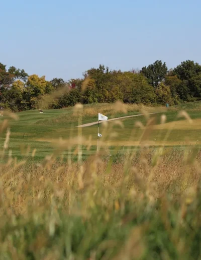 hope you can hit it straight 1 jpg